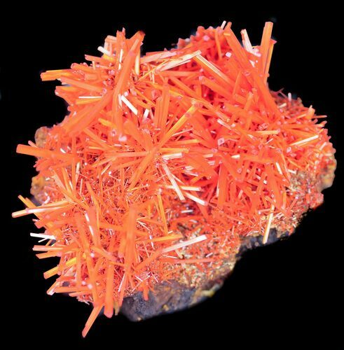 Bright Orange Crocoite Crystals - Tasmania #38903